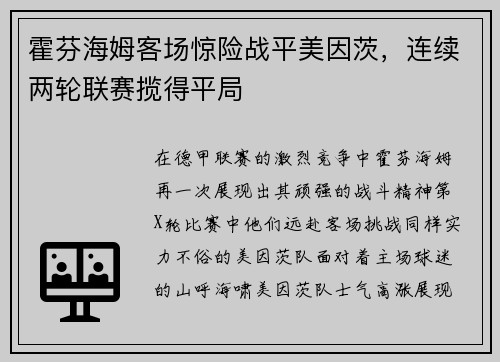 霍芬海姆客场惊险战平美因茨，连续两轮联赛揽得平局
